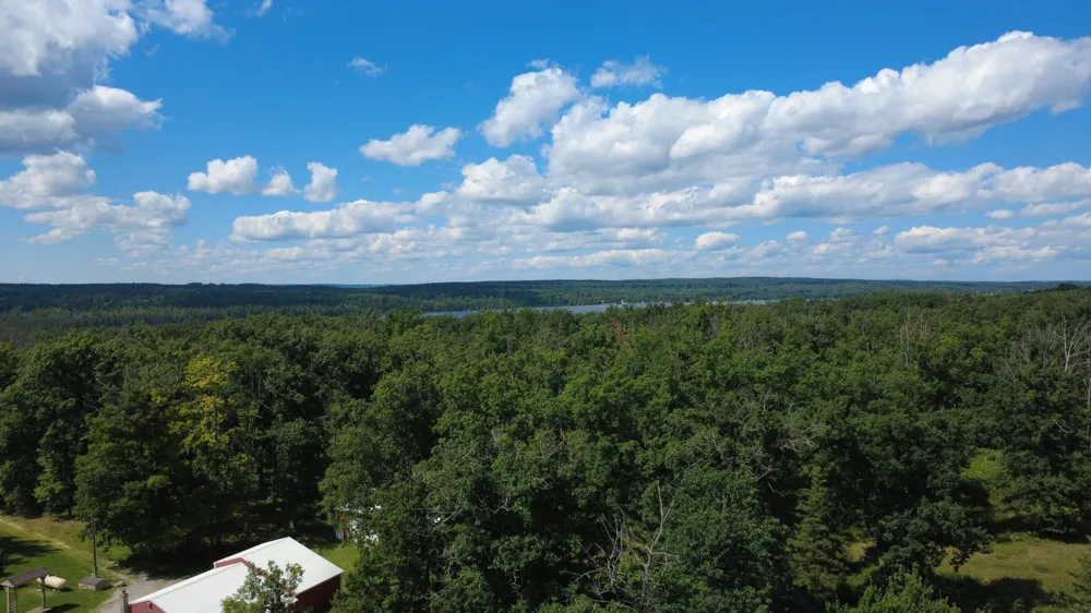 10838 Broad Road Ossineke Township, MI 49753