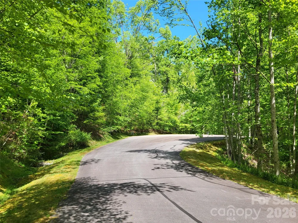 20 Rockbrook Overlook #L20 Brevard, NC 28712