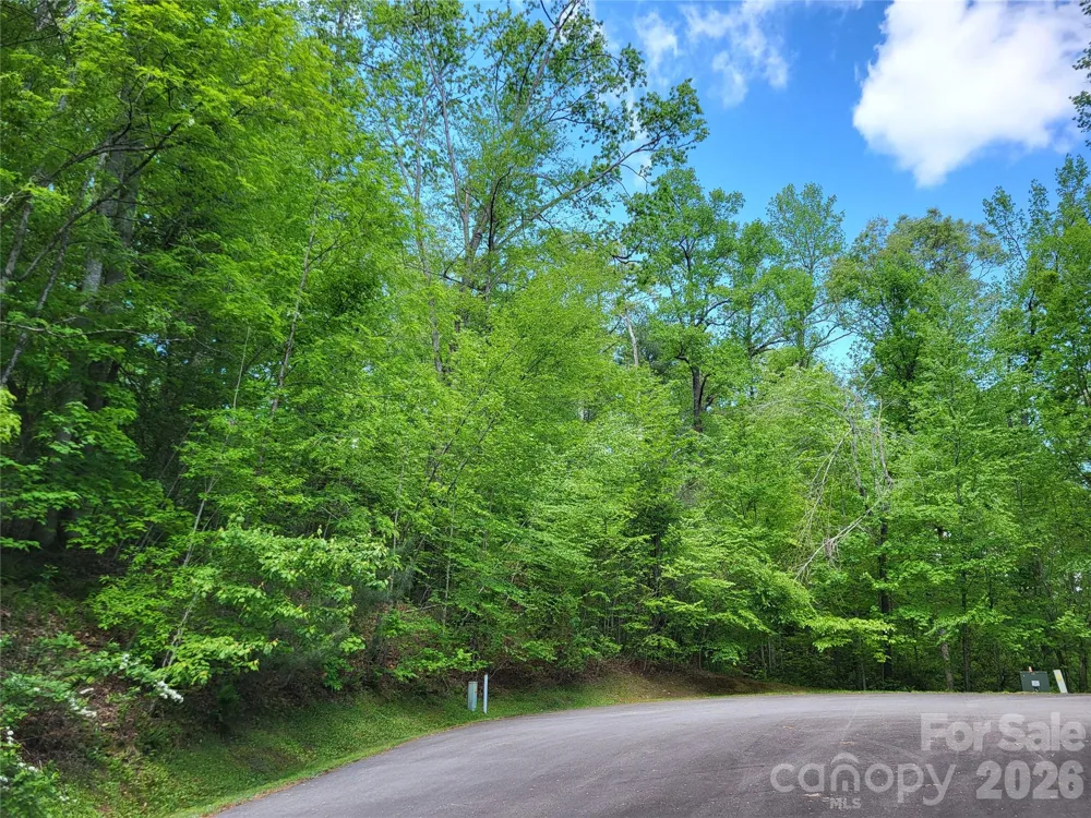 20 Rockbrook Overlook #L20 Brevard, NC 28712