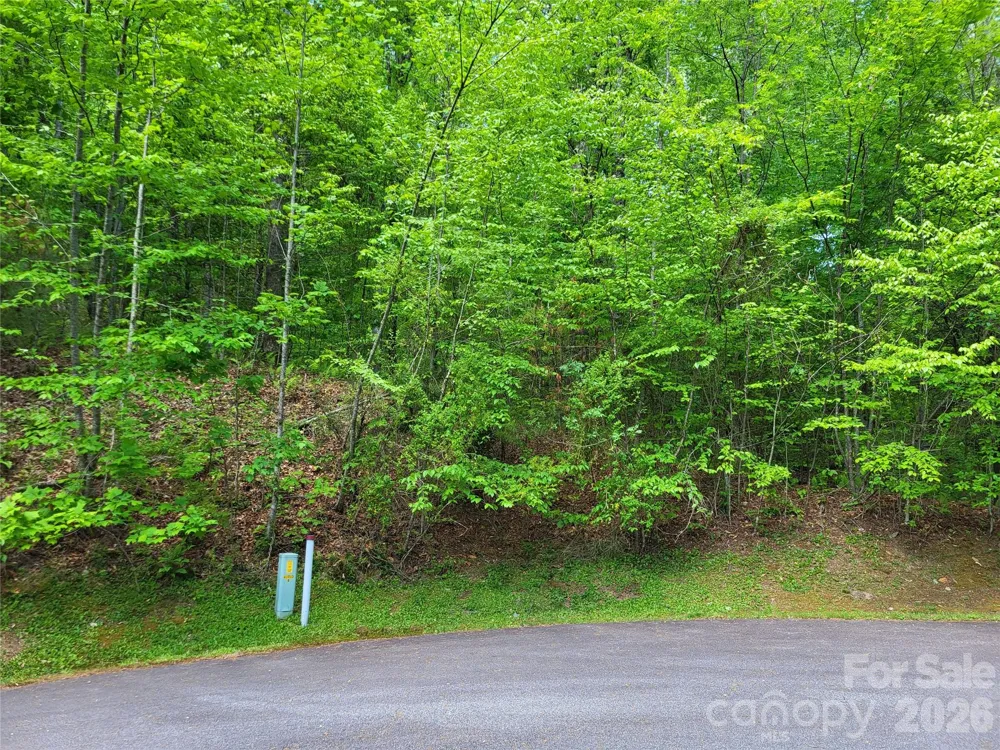 20 Rockbrook Overlook #L20 Brevard, NC 28712