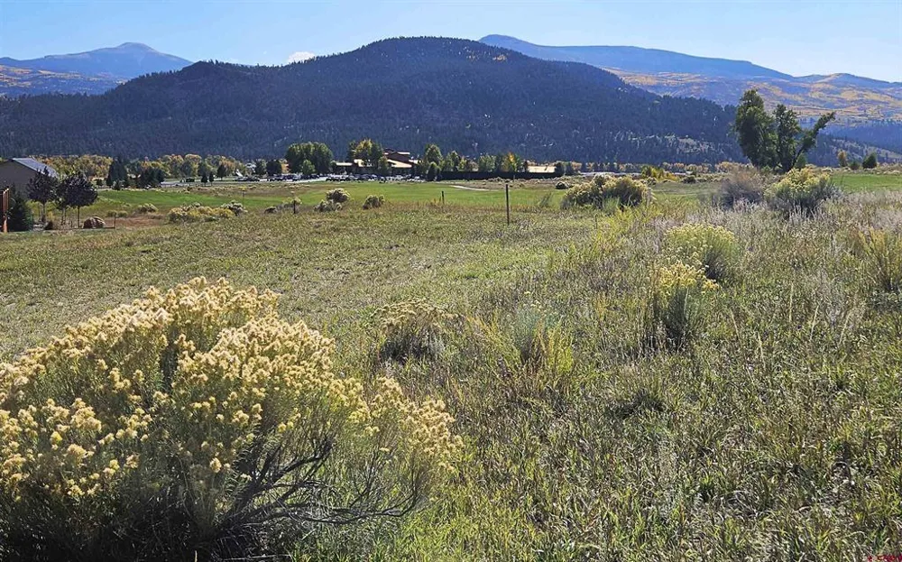 27 Greenside Court South Fork, CO 81154