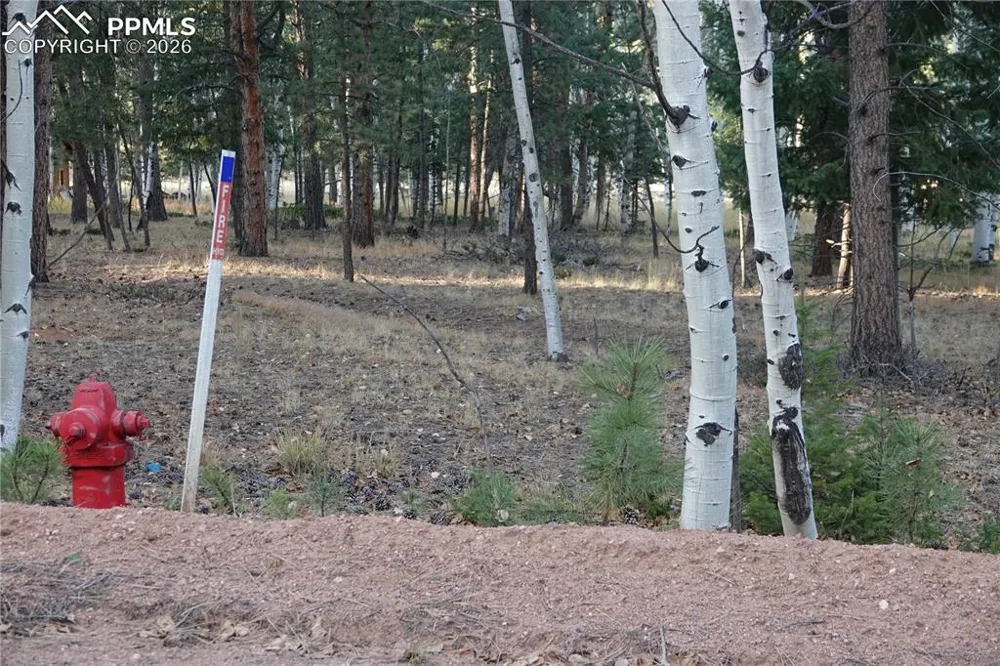 1360 Windflower Lane Woodland Park, CO 80863