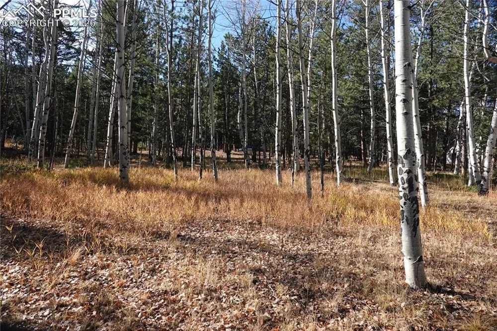 1360 Windflower Lane Woodland Park, CO 80863
