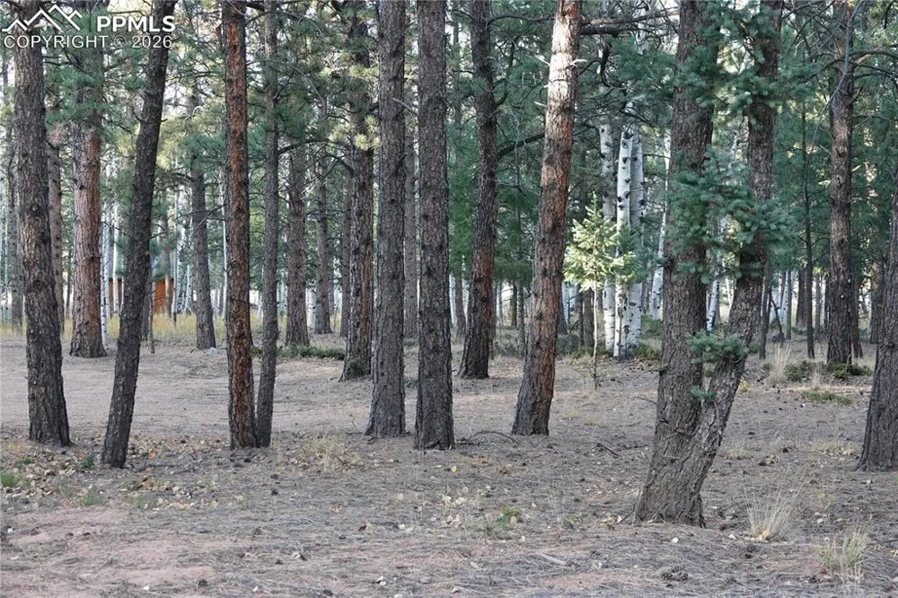1360 Windflower Lane Woodland Park, CO 80863
