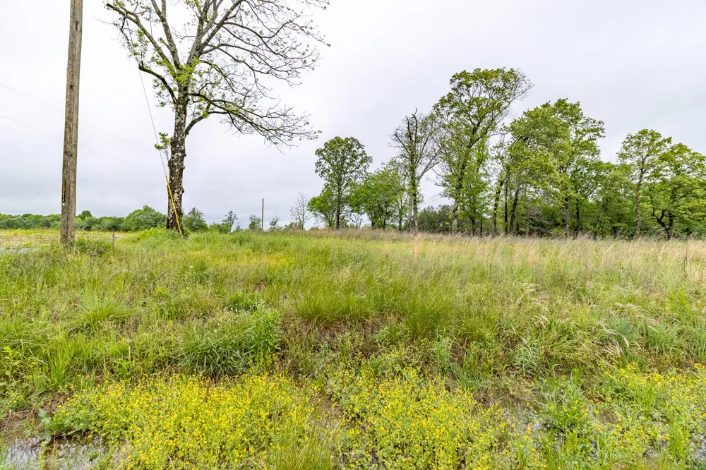 Ga 301 Trenton, GA 30752