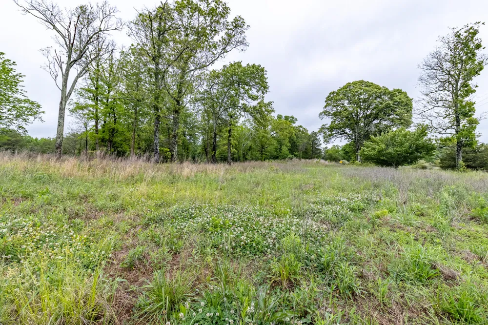 Ga 301 Trenton, GA 30752