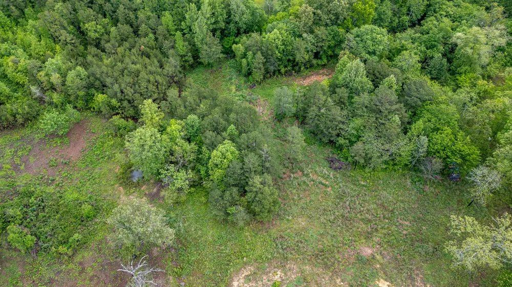 Ga 301 Trenton, GA 30752