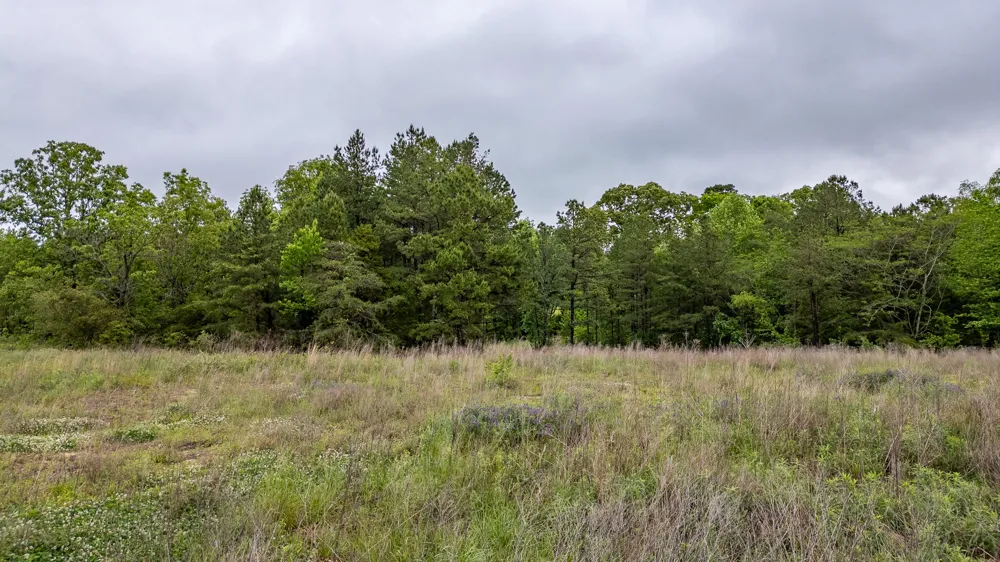 Ga 301 Trenton, GA 30752