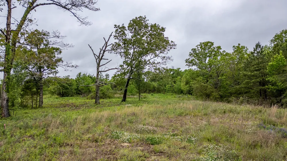 Ga 301 Trenton, GA 30752