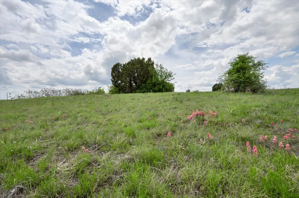 Ava Grace Lane Dublin, TX 76446