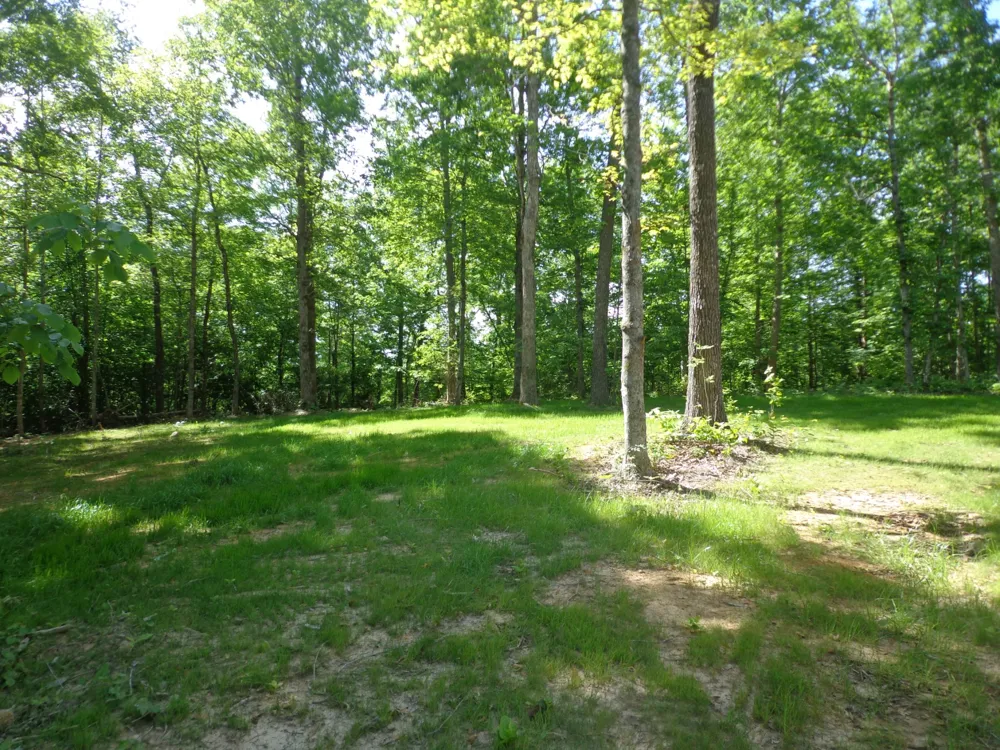 700 Hillcrest Rd Waverly, TN 37185