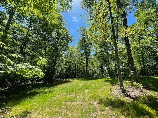 700 Hillcrest Rd Waverly, TN 37185