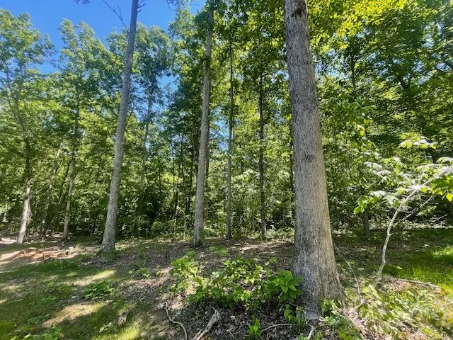 700 Hillcrest Rd Waverly, TN 37185