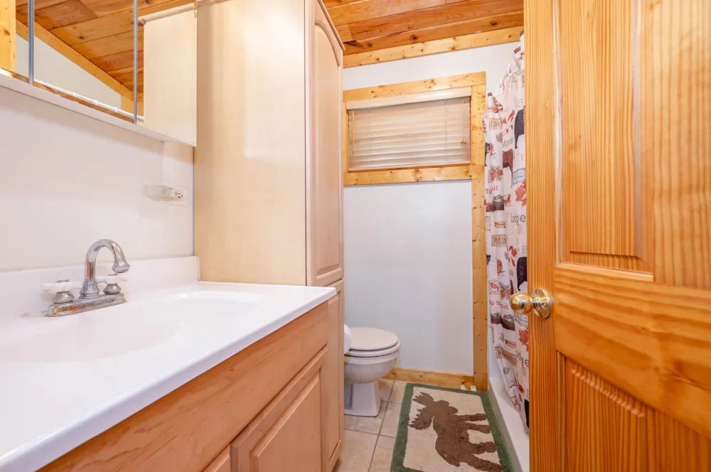 32118 E Gunn Lake Trail Marcell, MN 56657
