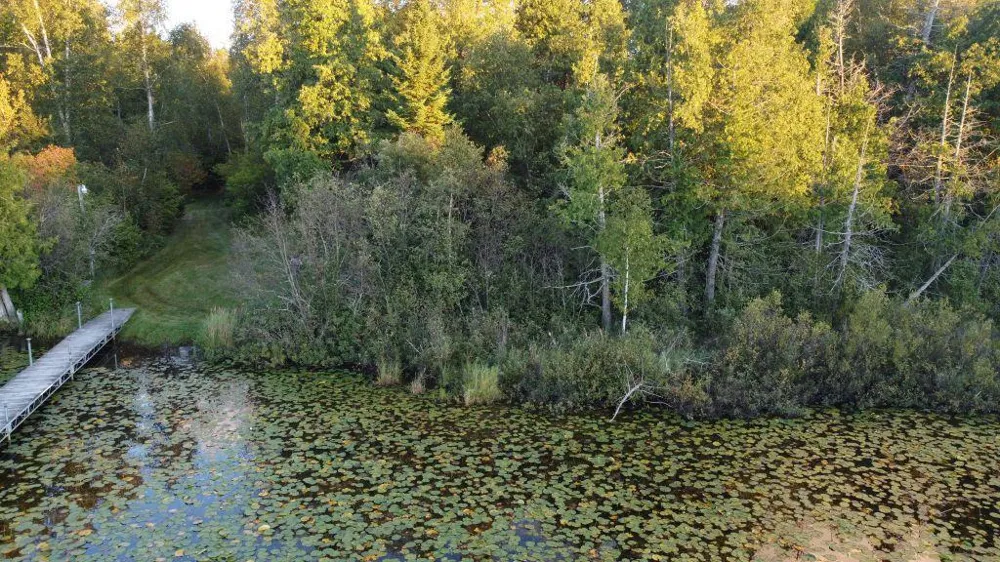 32118 E Gunn Lake Trail Marcell, MN 56657