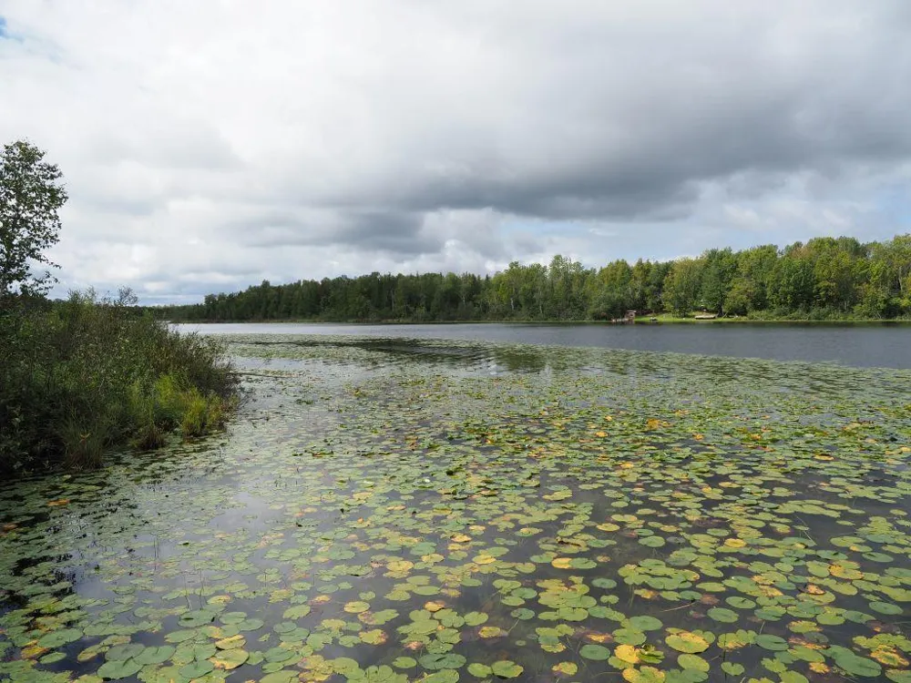 32118 E Gunn Lake Trail Marcell, MN 56657