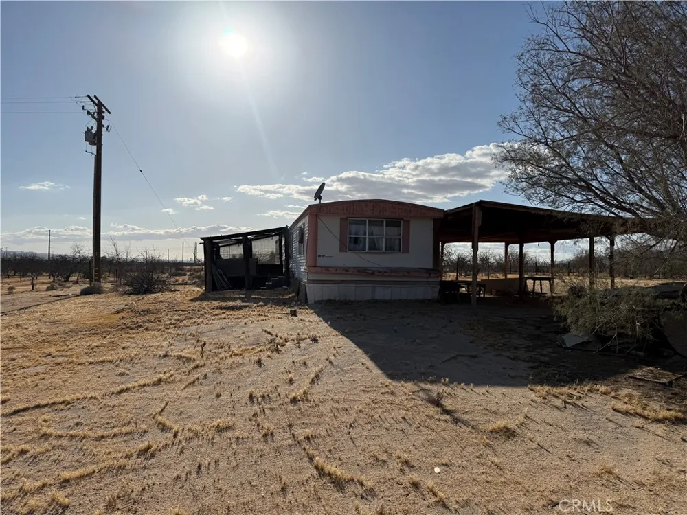 41854 Silver Valley Newberry Springs, CA 92365