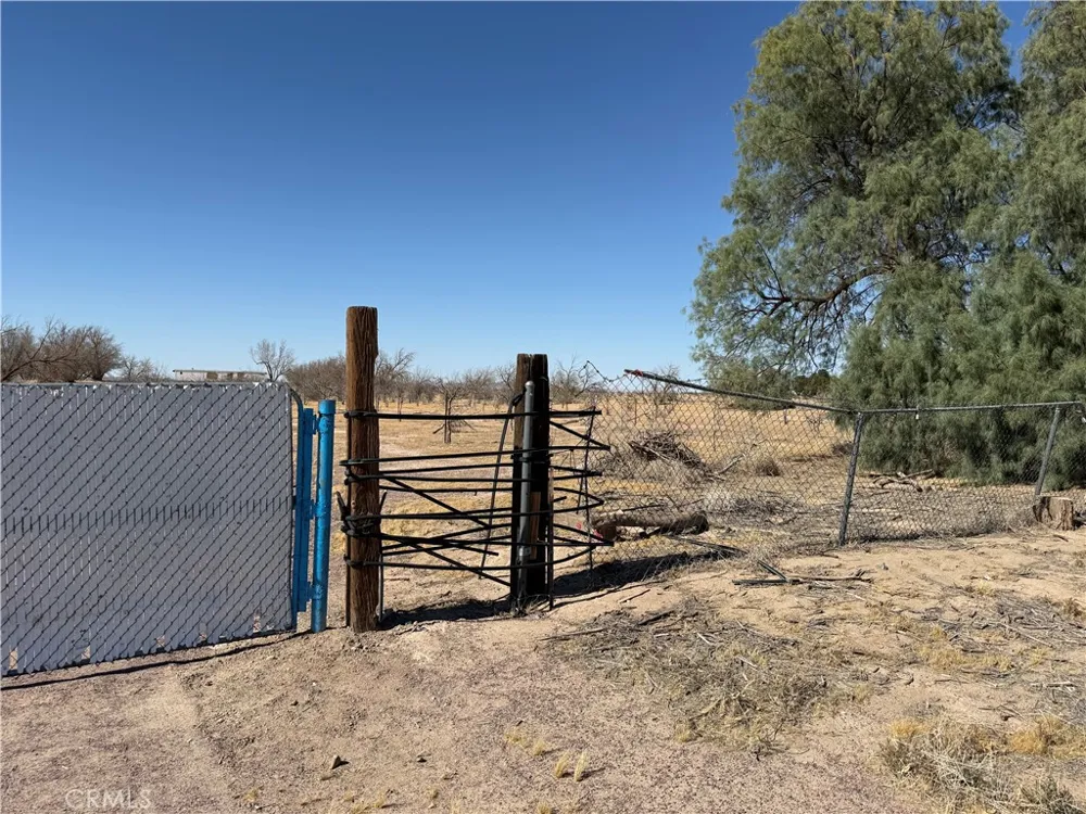 41854 Silver Valley Newberry Springs, CA 92365