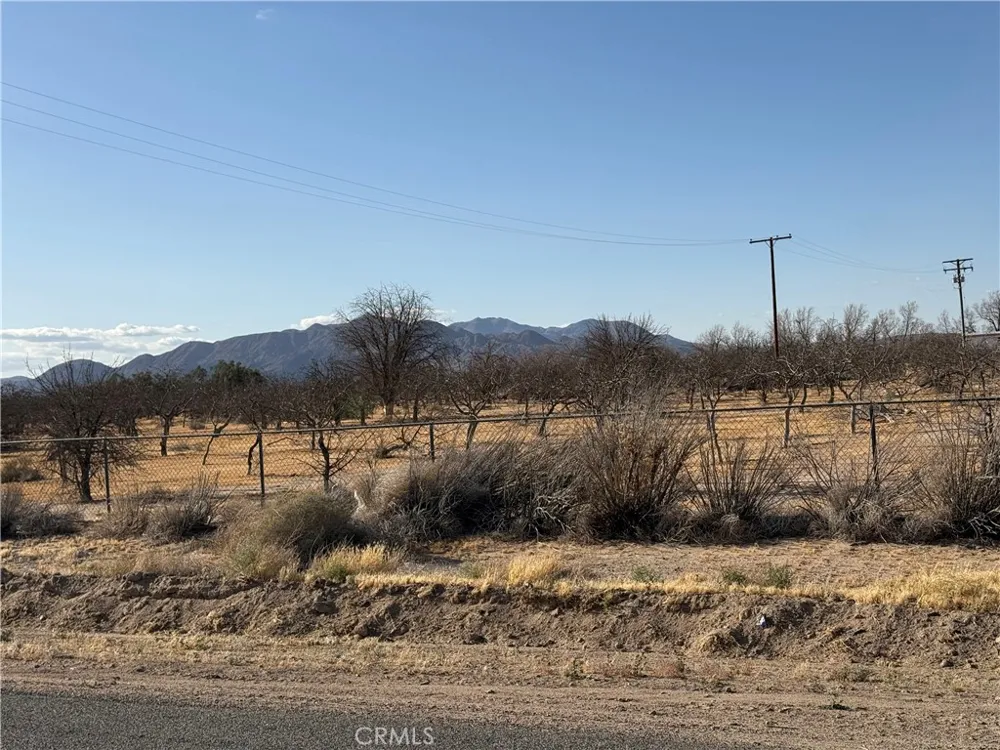 41854 Silver Valley Newberry Springs, CA 92365
