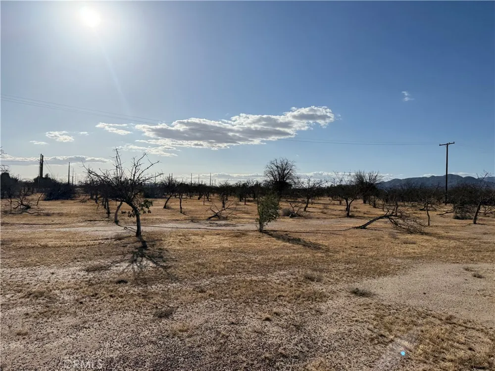 41854 Silver Valley Newberry Springs, CA 92365