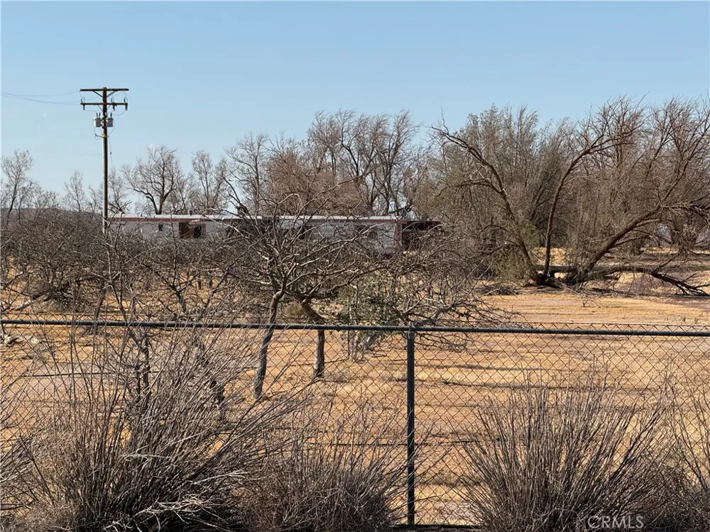 41854 Silver Valley Newberry Springs, CA 92365