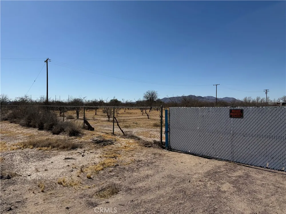 41854 Silver Valley Newberry Springs, CA 92365