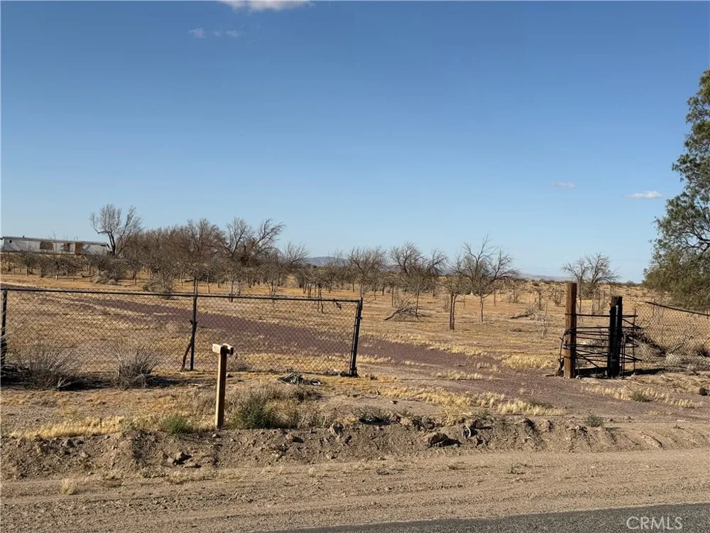 41854 Silver Valley Newberry Springs, CA 92365