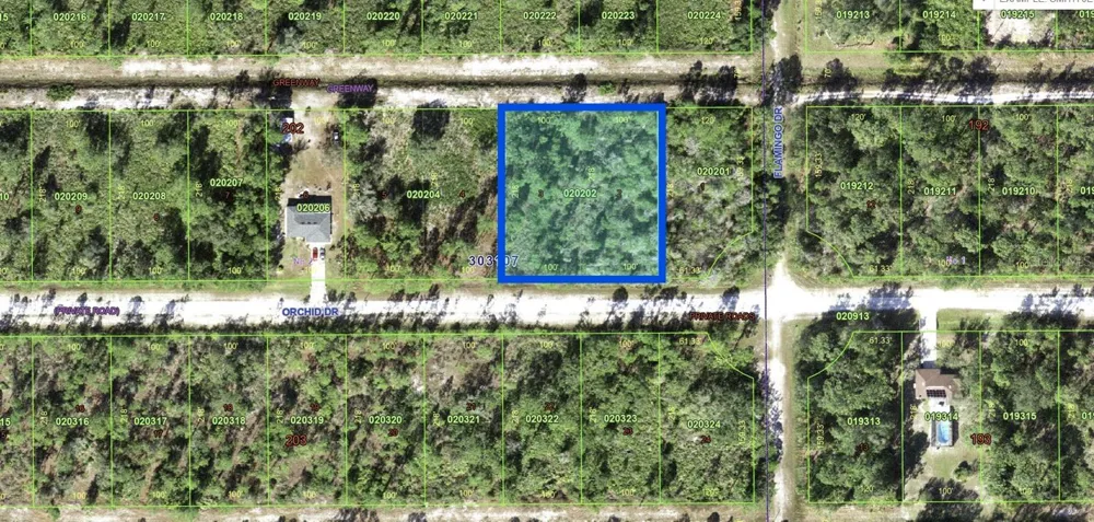 704 ORCHID DRIVE Indian Lake Estates, FL 33855