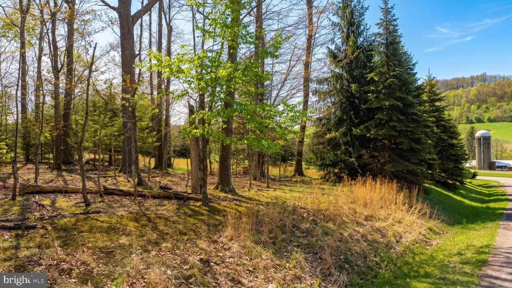 ASPEN WOODS DRIVE Mc Henry, MD 21541