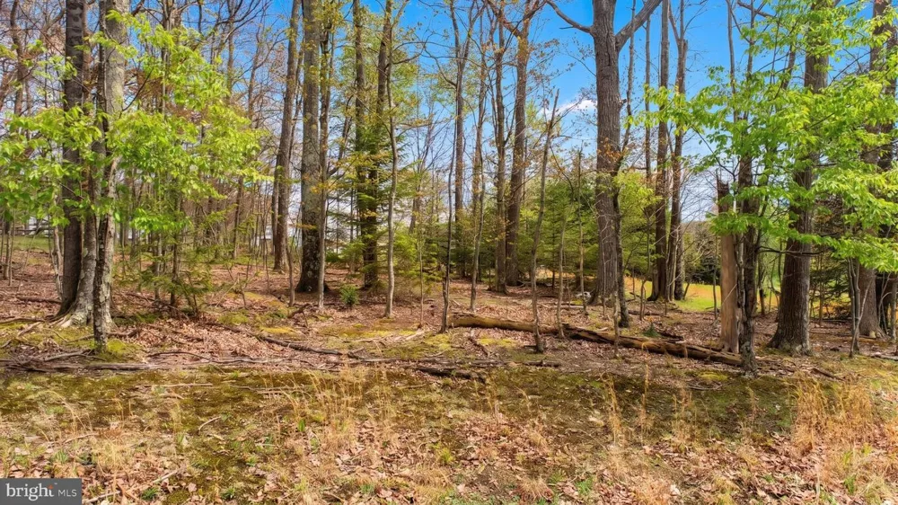 ASPEN WOODS DRIVE Mc Henry, MD 21541