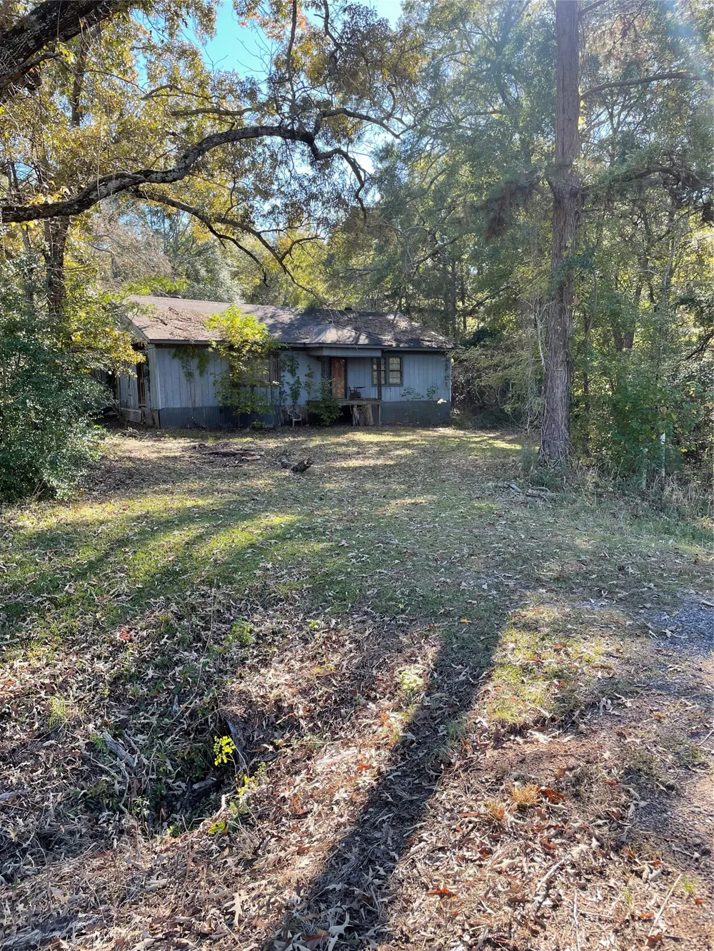 17092 Fm 317 Chandler, TX 75758