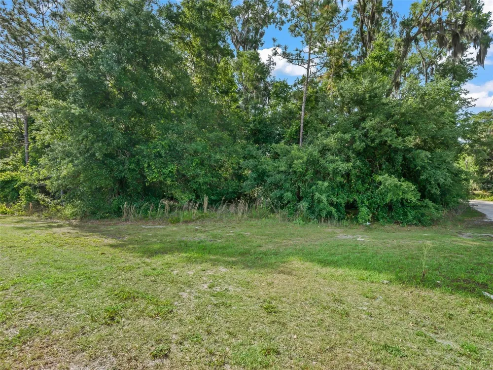 2823 W C 48 Bushnell, FL 33513