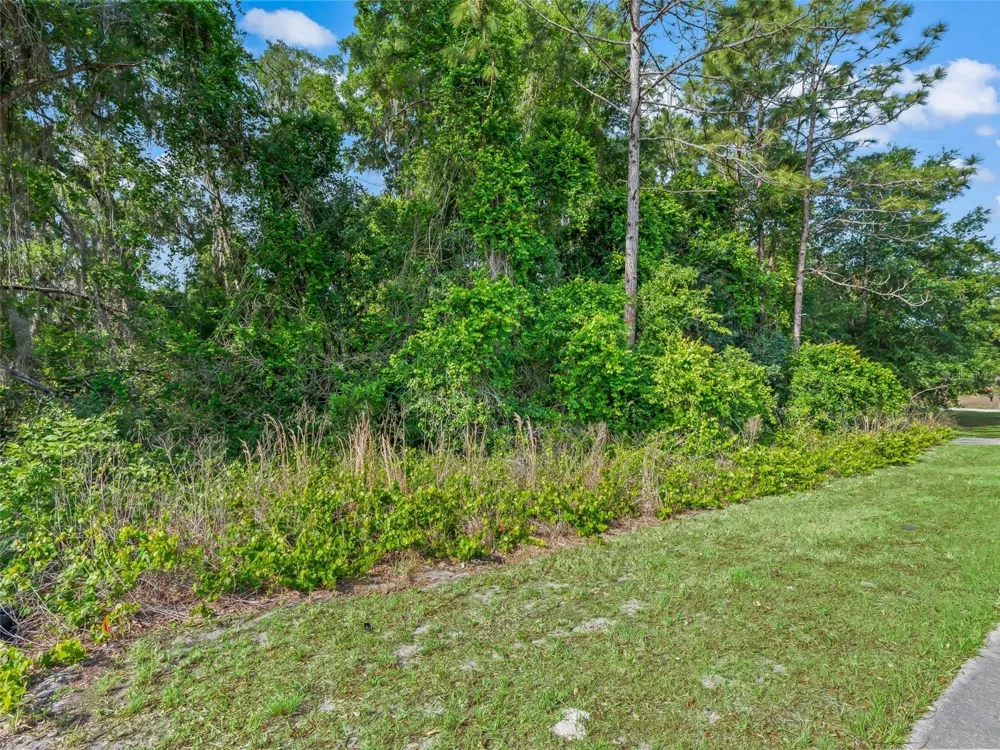 2823 W C 48 Bushnell, FL 33513