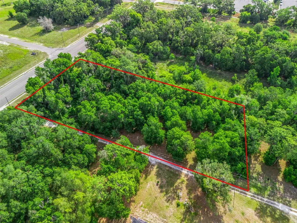 2823 W C 48 Bushnell, FL 33513