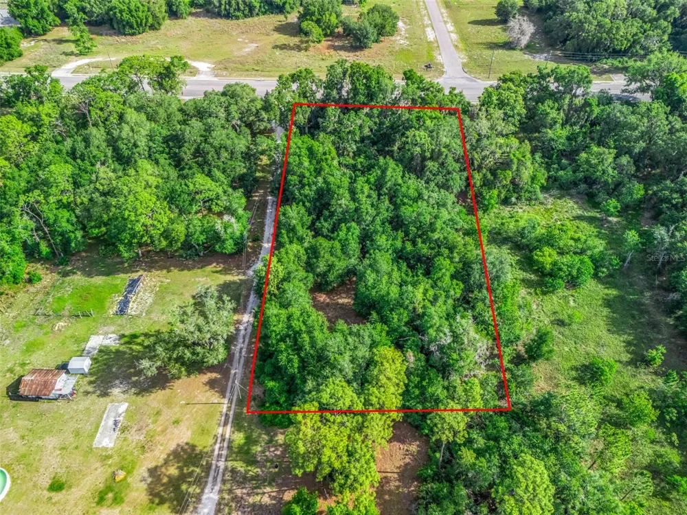 2823 W C 48 Bushnell, FL 33513