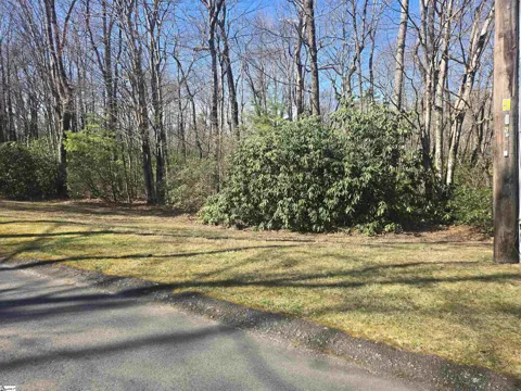 319 Cliff Ridge Drive
