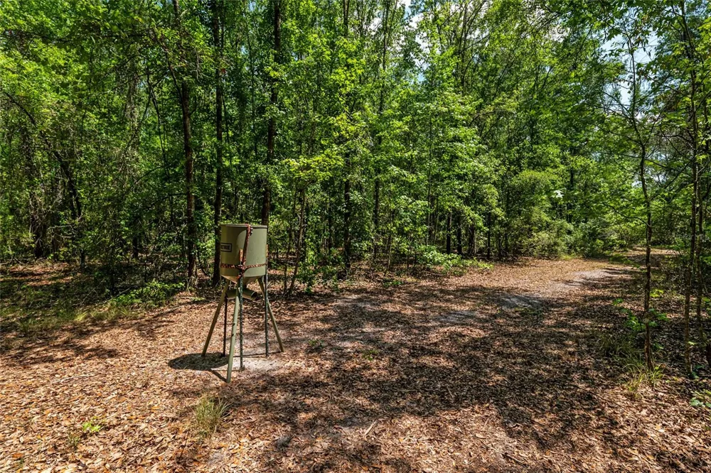 4814 NW 244 AVENUE Alachua, FL 32615