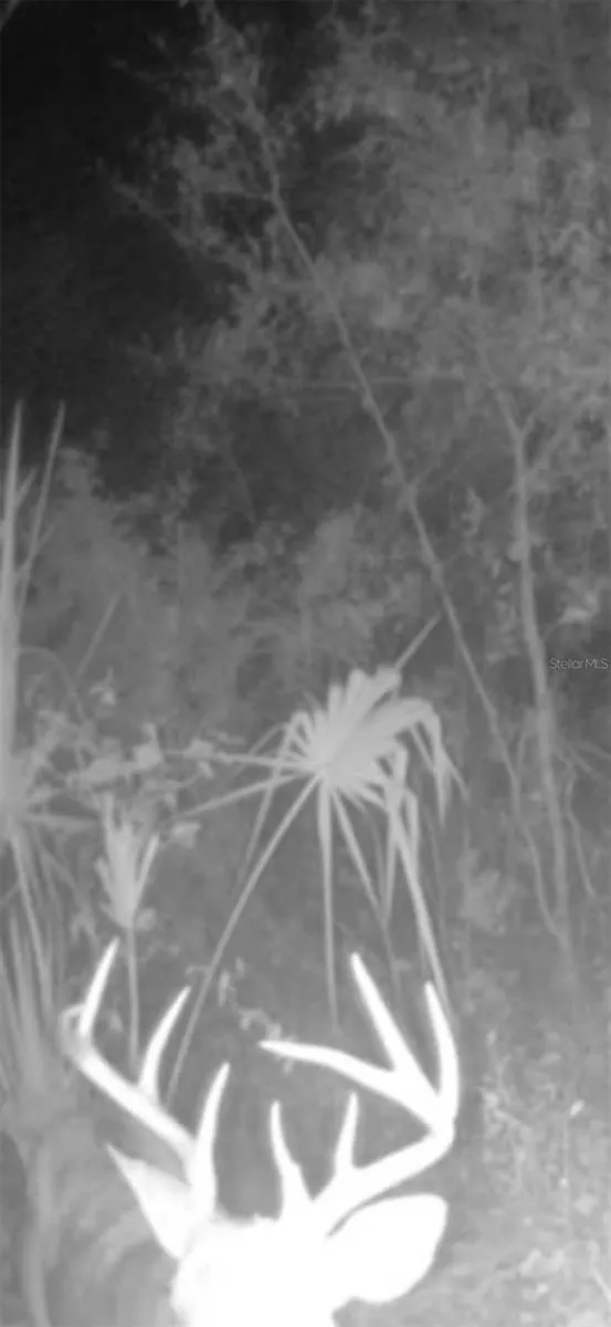 4814 NW 244 AVENUE Alachua, FL 32615