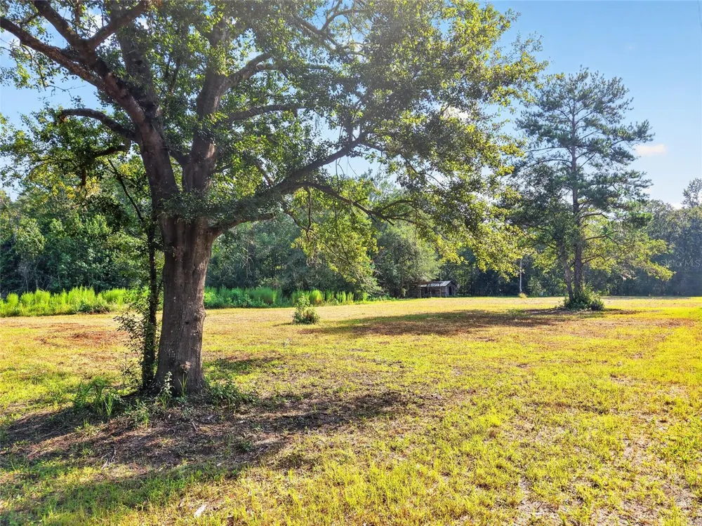 4814 NW 244 AVENUE Alachua, FL 32615