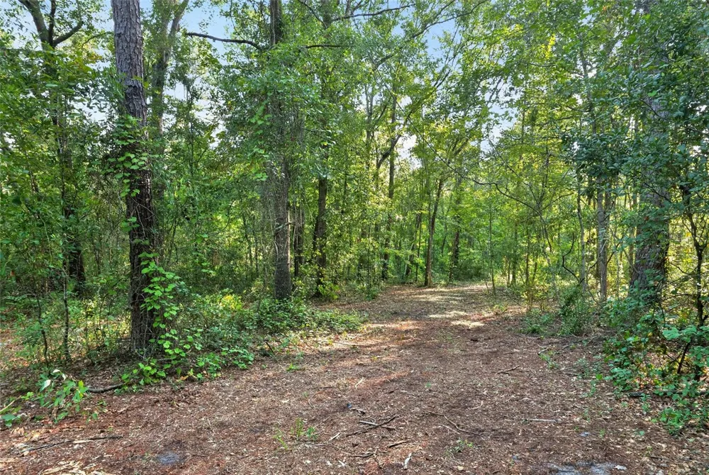 4814 NW 244 AVENUE Alachua, FL 32615