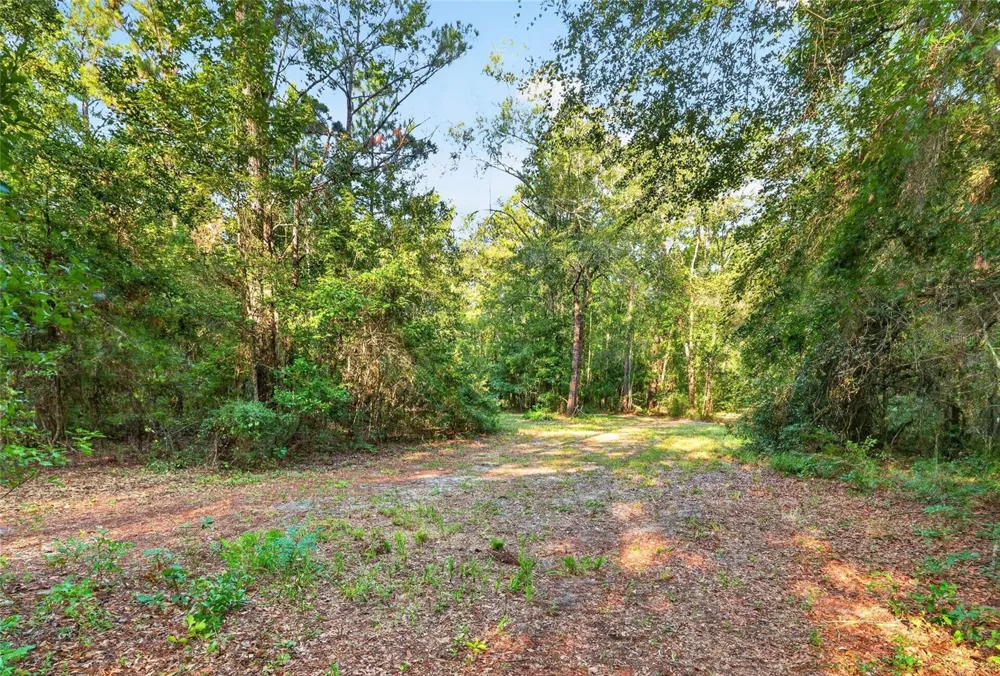 4814 NW 244 AVENUE Alachua, FL 32615