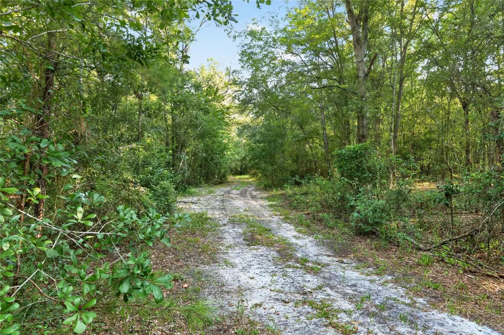 4814 NW 244 AVENUE Alachua, FL 32615