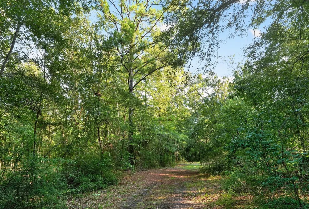 4814 NW 244 AVENUE Alachua, FL 32615