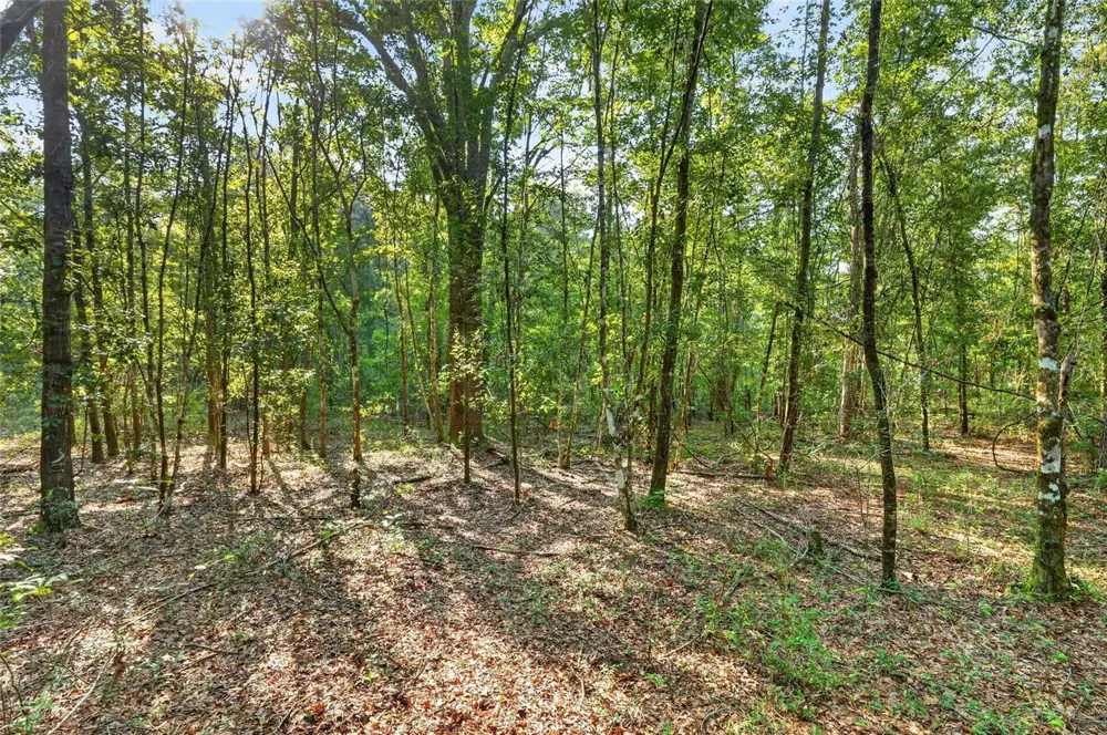 4814 NW 244 AVENUE Alachua, FL 32615