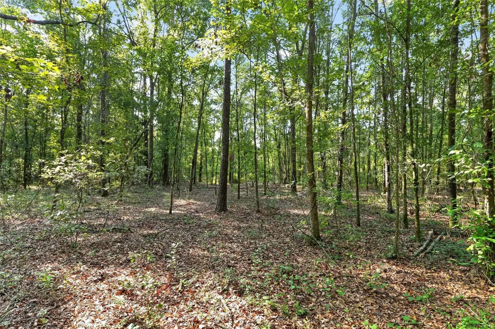 4814 NW 244 AVENUE Alachua, FL 32615