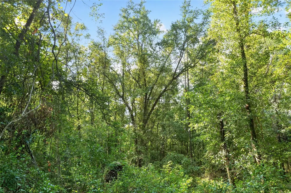 4814 NW 244 AVENUE Alachua, FL 32615