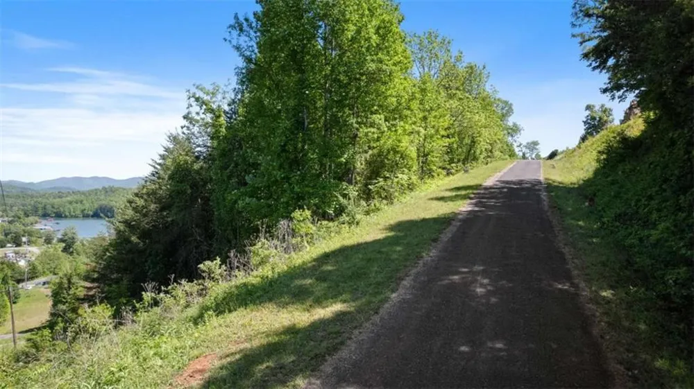 LOT 40 Overlook Trail Hiawassee, GA 30546