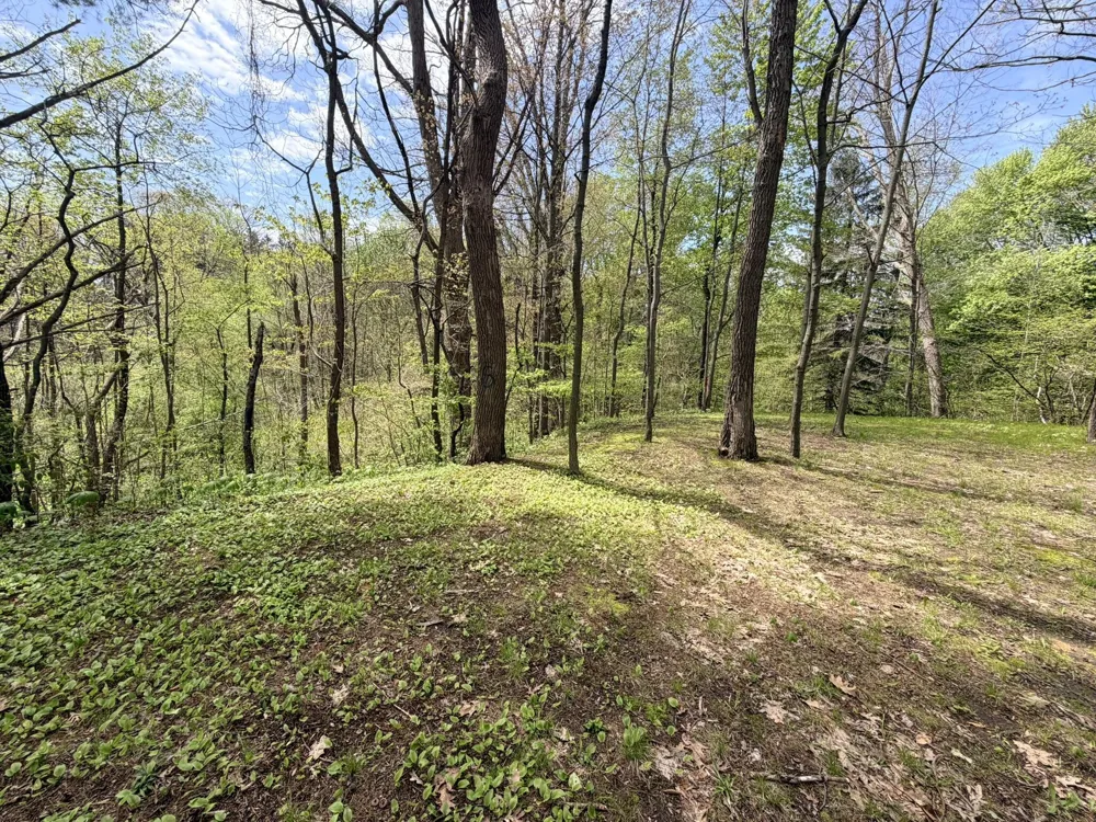 1435 Silver Creek Place St. Joseph, MI 49085