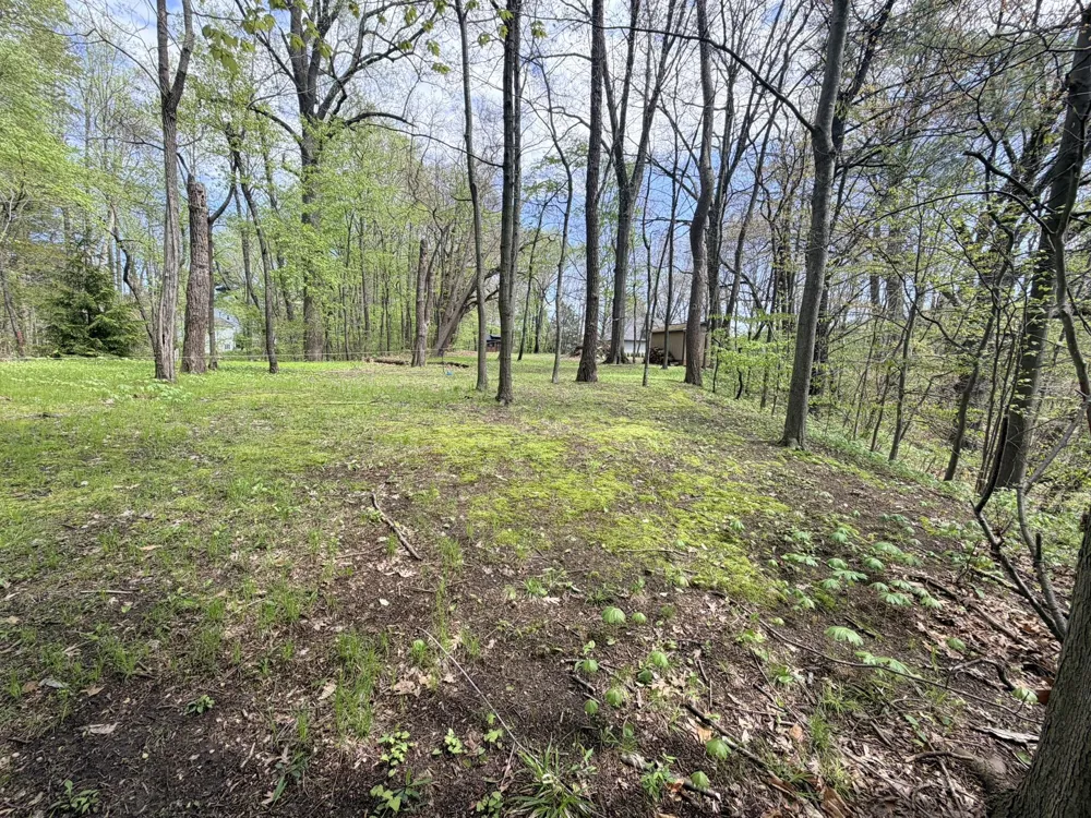 1435 Silver Creek Place St. Joseph, MI 49085