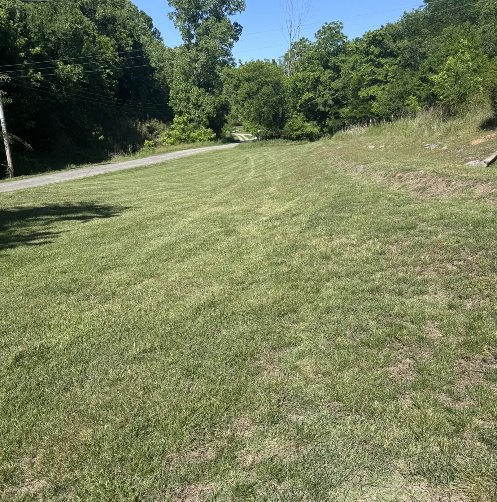 67 Conditt Hollow Rd Elmwood, TN 38560